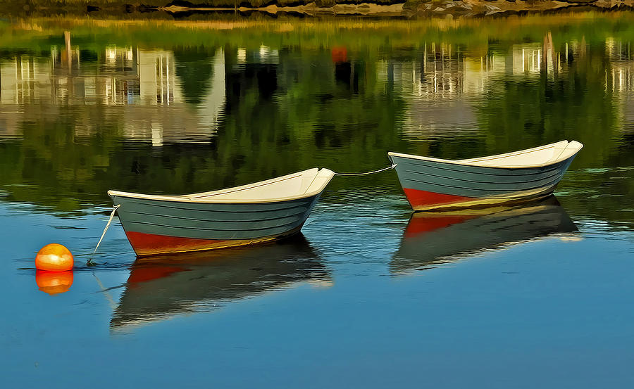 Dory Photograph - The Duo by Liz Mackney Dory Photograph - The Duo by Liz Mackney