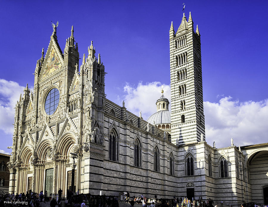 The Duomo in Siena Photograph by Fran Gallogly