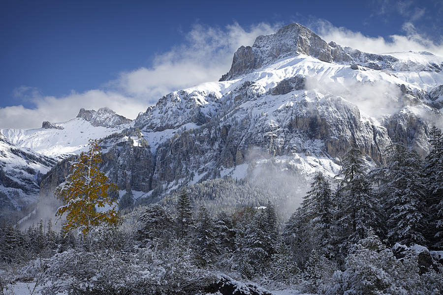 The dwarf and the giant Photograph by Dominique Dubied - Pixels