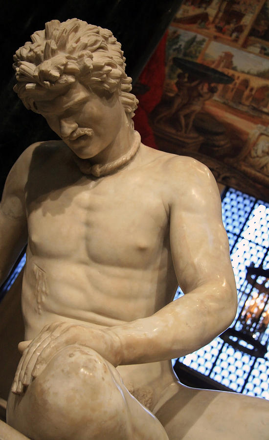 The Dying Gaul Up Close Photograph by Cora Wandel