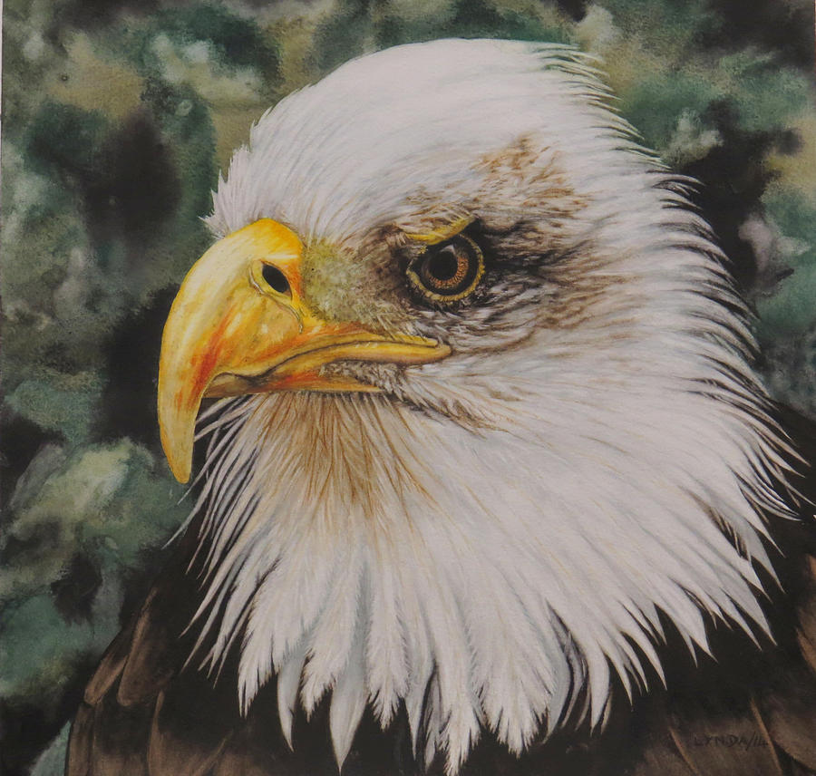 Eagle Painting - The Eagle Eye by Lynda Grant