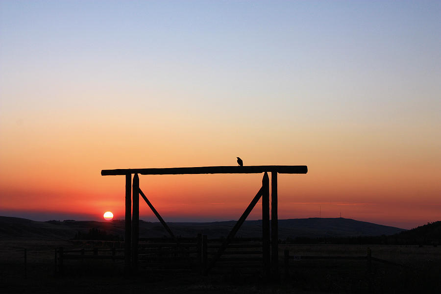 Bird Photograph - The Early Bird at Sunrise by Gerry Bates