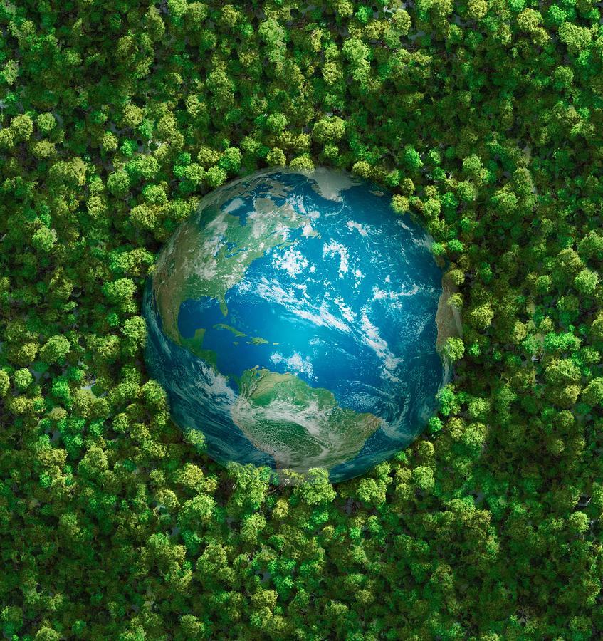 The earth embedded in green shrubbery Photograph by Leonard_c