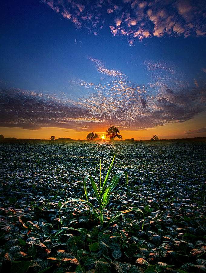 Landscape Photograph - The Edge of Dreams by Phil Koch
