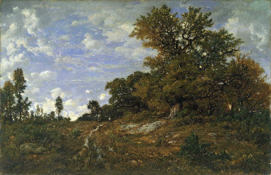 Theodore Rousseau Painting - The Edge of the Woods at Monts-Girard. Fontainebleau Forest by Theodore Rousseau