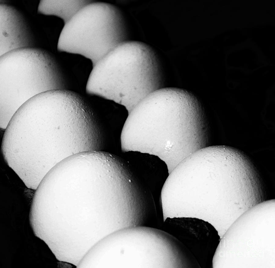 The Egg Brigade Photograph by Jim Rossol