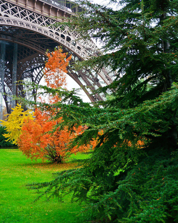 The Eiffel in Fall Photograph by Kent Nancollas