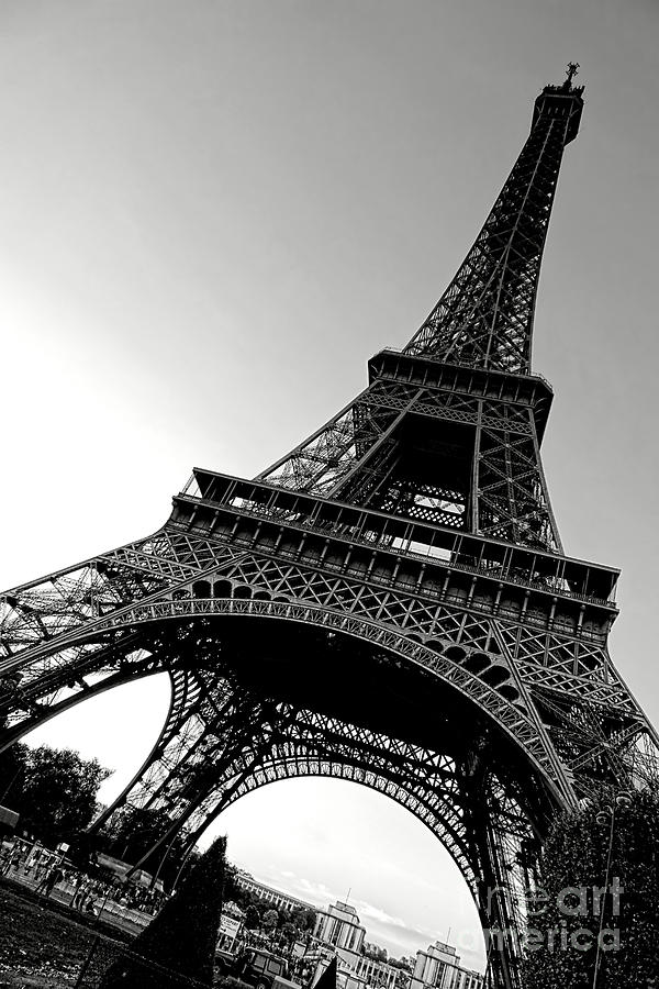 The Eiffel Tower Photograph by Olivier Le Queinec
