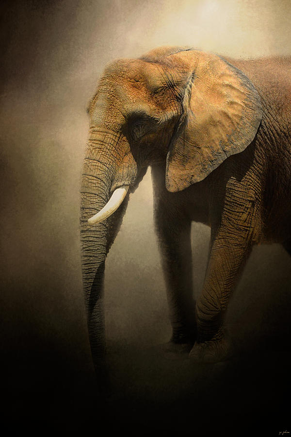 Animal Photograph - The Elephant Emerges by Jai Johnson