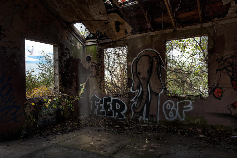 The Elephant in the Room - Abandoned Building Photograph by Gary Heller