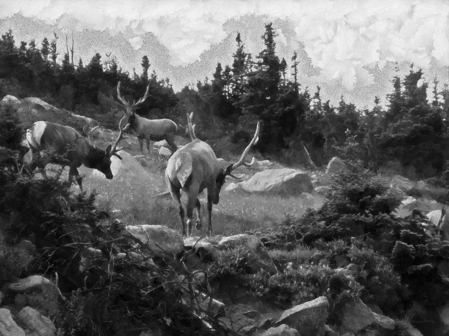 The Elk Painterly Digital Art by Ernest Echols