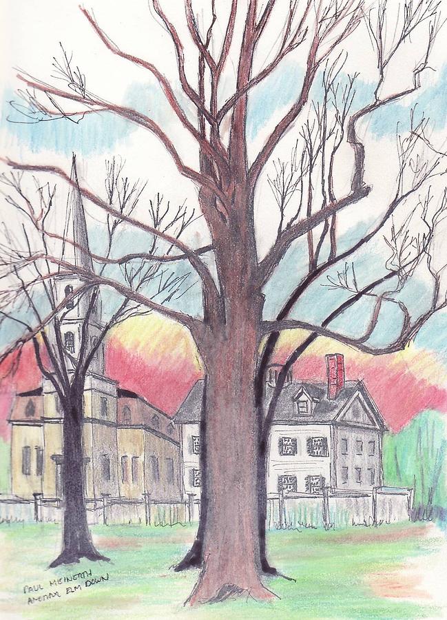 The Elm Trees John Brown House Drawing by Paul Meinerth