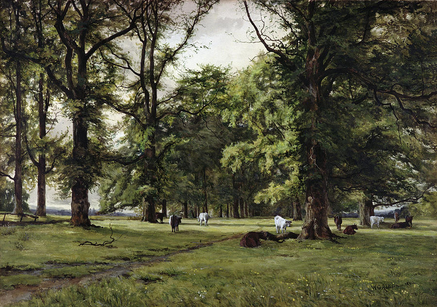 Elm Painting - The Elm Walk by William Grylls Addison Elm Painting - The Elm Walk by William Grylls Addison