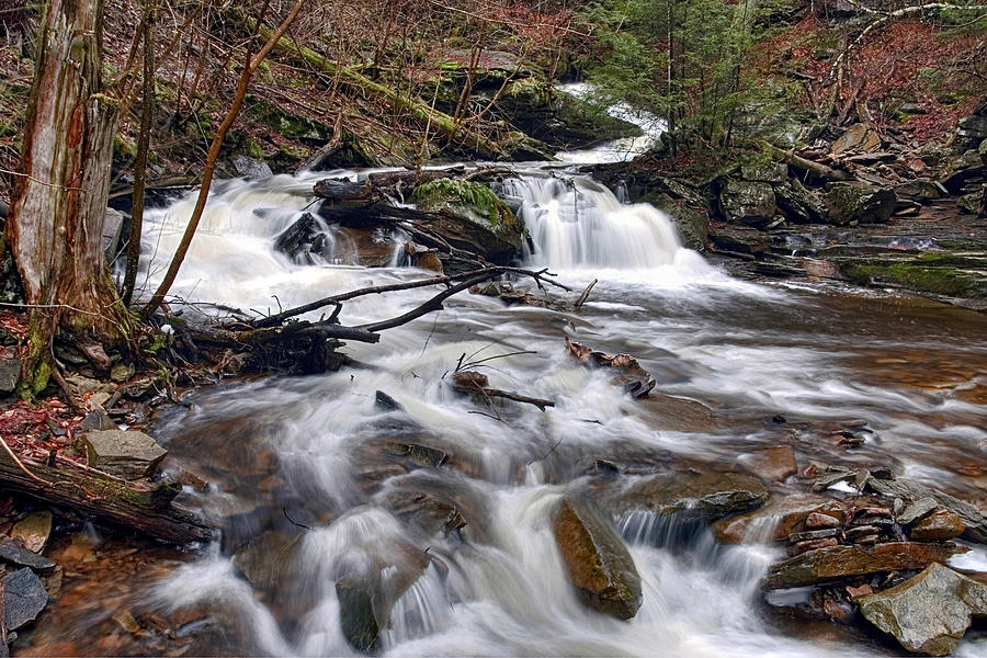 Elusive Conestoga Waterfall in Spring Photograph by Gene Walls