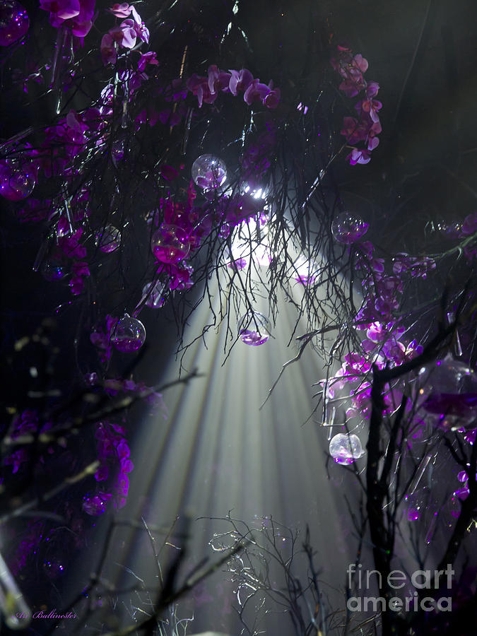 The Enchanted Orchids Forest 02 Photograph by Arik Baltinester
