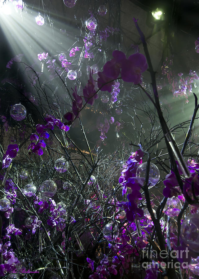 Orchid Photograph - The Enchanted Orchids Forest 05 by Arik Baltinester