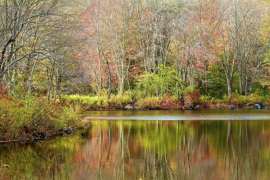 The end of Autumn in New England Photograph by John Babis