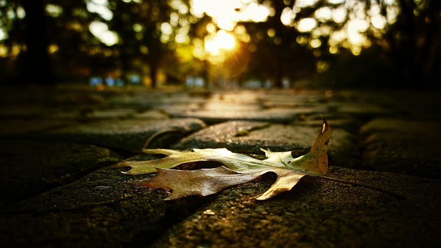 The End of Fall Photograph by Tommy Wallace Fine Art America