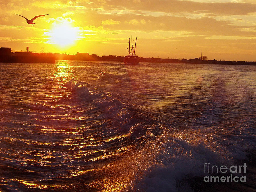 Sunset Photograph - The End to a Fishing Day by John Telfer