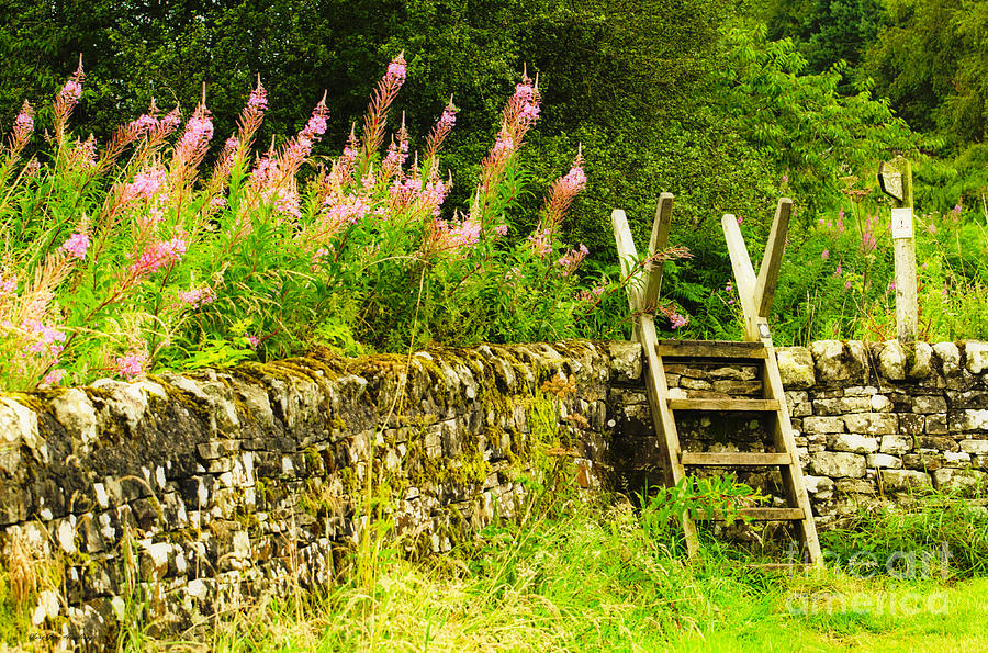 The English Ladder Stile Photograph by Mary Jane Armstrong