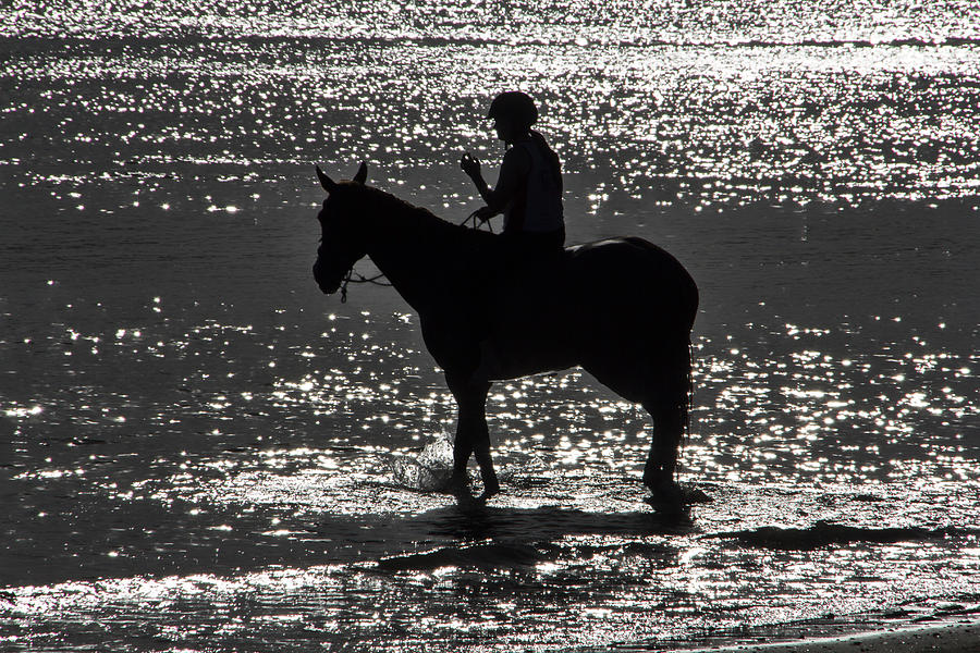 The Equestrian-Silhouette Photograph by Douglas Barnard