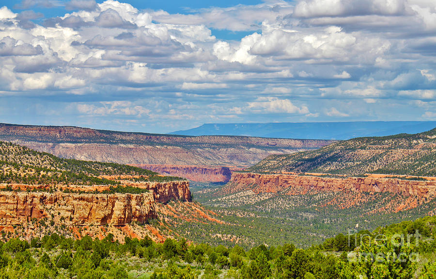 The Escalante Canyon Colorado by Janice Rae Pariza