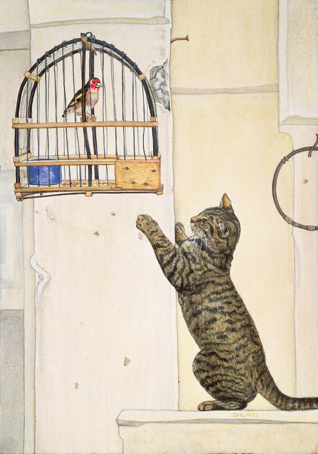 Cat Painting - The Essuaira bird by Ditz