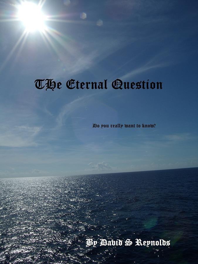 The Eternal Question Photograph by David S Reynolds