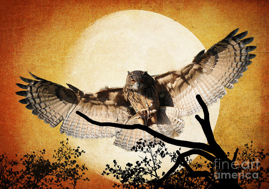 The Eurasian Eagle Owl And The Moon Photograph by Kathy Baccari