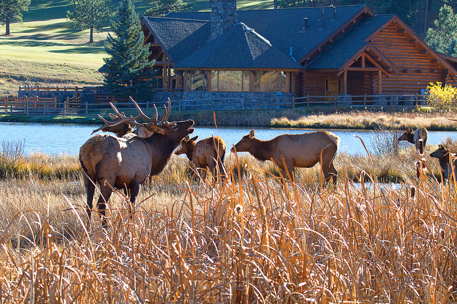 The Evergreen Elks Lodge Photograph by Jim Garrison