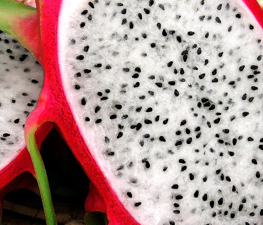 The Exotic Dragon Fruit Photograph by James Temple