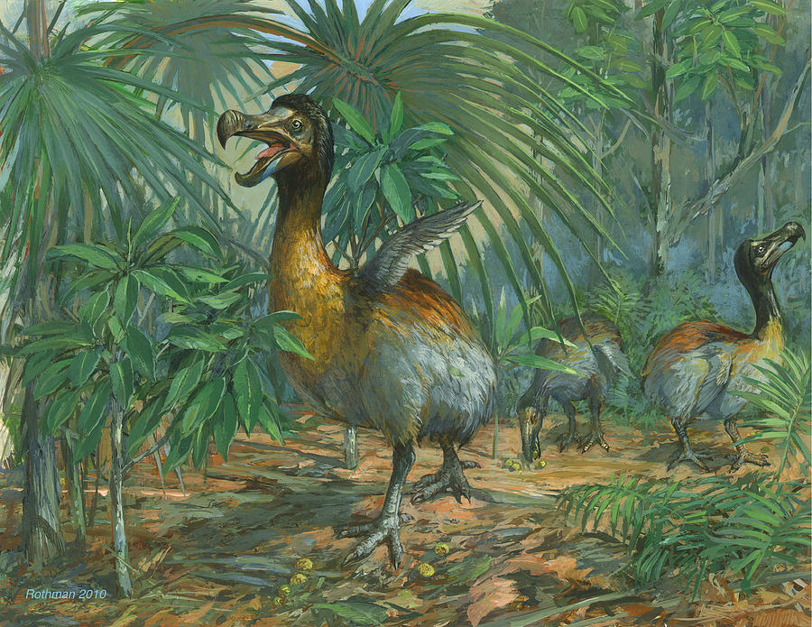 Wildlife Painting - The Extinct Dodo Bird by ACE Coinage painting by Michael Rothman