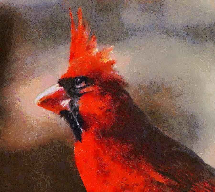 The eye of the Cardinal Digital Art by Carrie OBrien Sibley