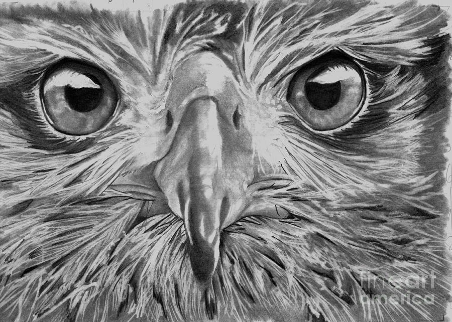 Feather Drawing - The Eyes Are On You by Bill Richards