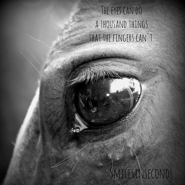 Horse Photograph - The Eyes Can Do A
thousand by Smilesinseconds Bryant