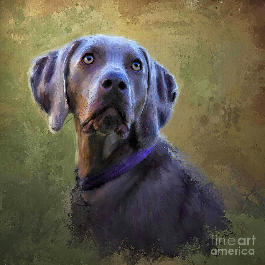 The Eyes Have It by Andrea Auletta The Eyes Have It by Andrea Auletta