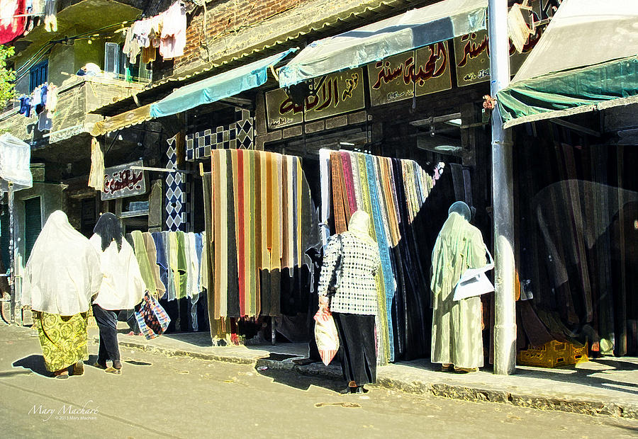 The Fabric Shop - Alexandria Photograph by Mary Machare
