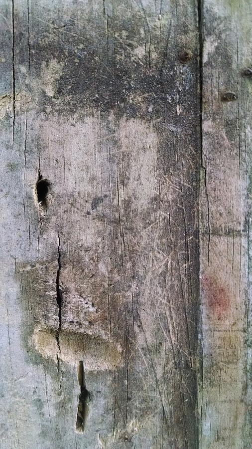 Abstract Photograph - The face in the fencepost by Nadia Korths