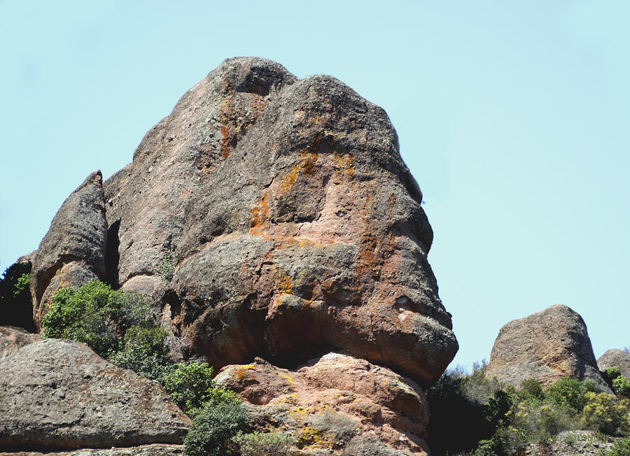 The Face Of The Pinnacles Photograph by Barbara Snyder
