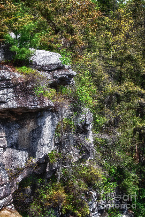 The face within the rock Photograph by Rick Kuperberg Sr
