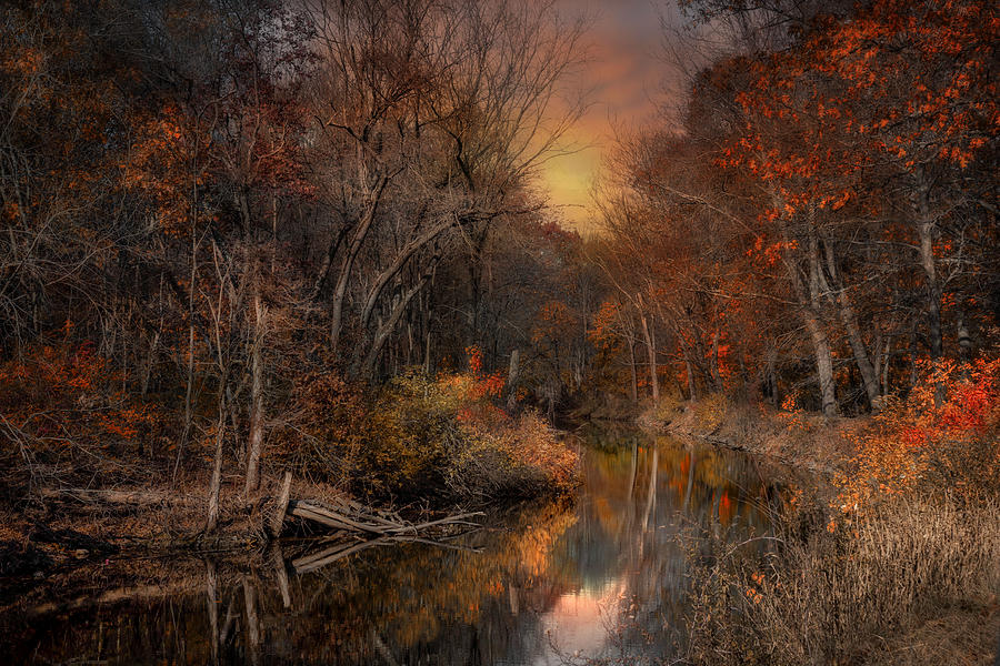 The Fading Glow of Fall Photograph by Robin-Lee Vieira