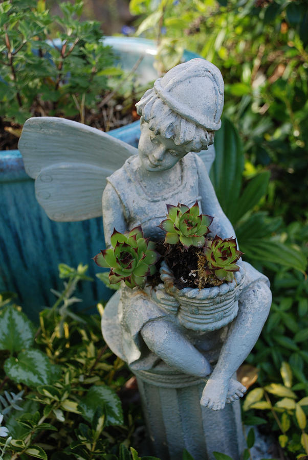 The Fairy Gardener Photograph by Carol Eliassen