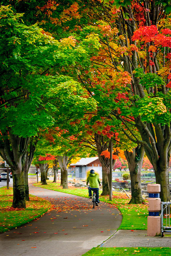 The Fall Bike Ride Photograph by Cassius Johnson