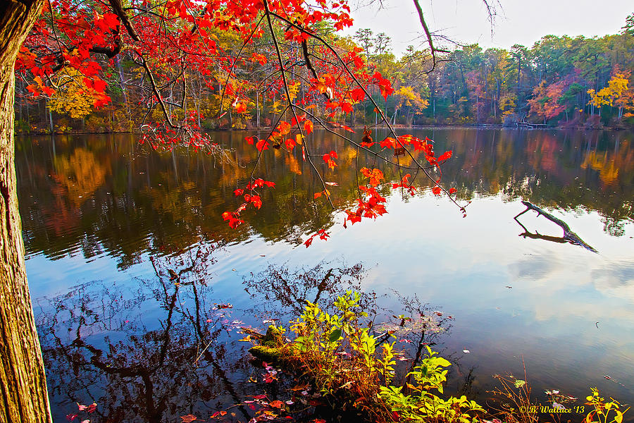 Fall Photograph - The Fall Season by Brian Wallace