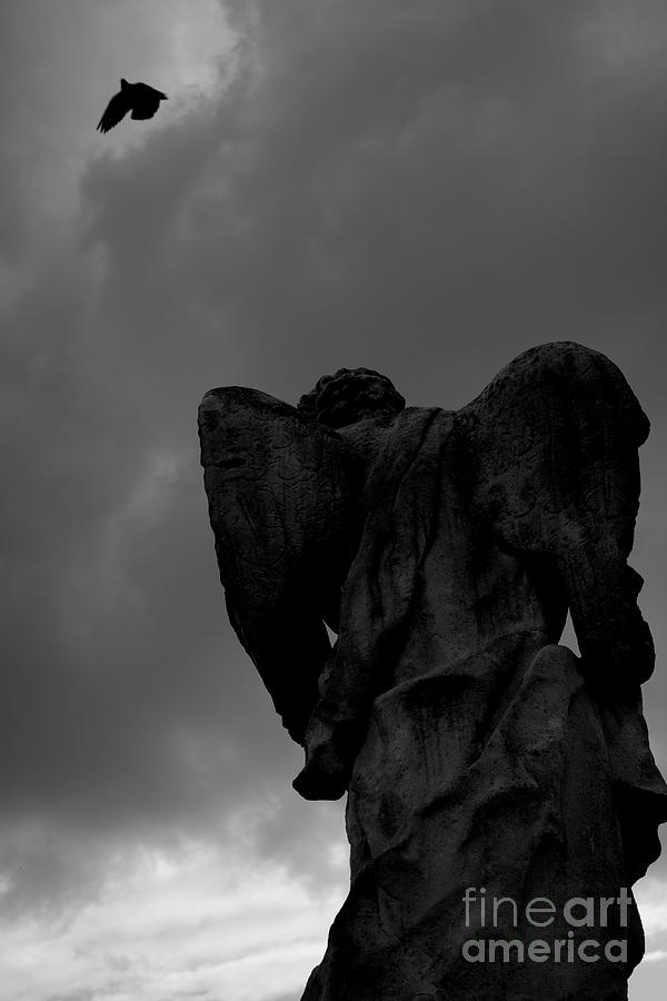 The Fallen Angel Photograph by Donato Iannuzzi