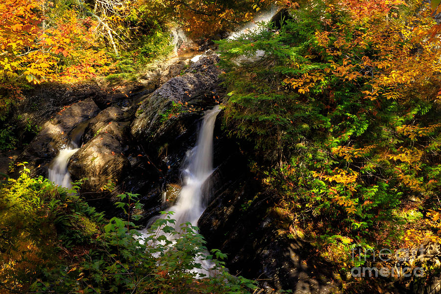 Fall Photograph - The Falls by Brenda Giasson