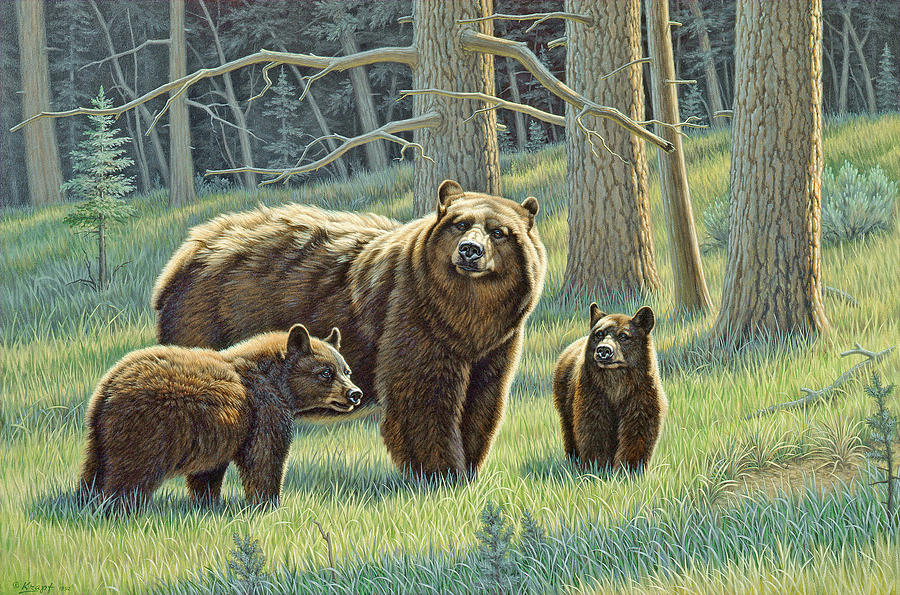 Wildlife Painting - The Family - Black Bears by Paul Krapf