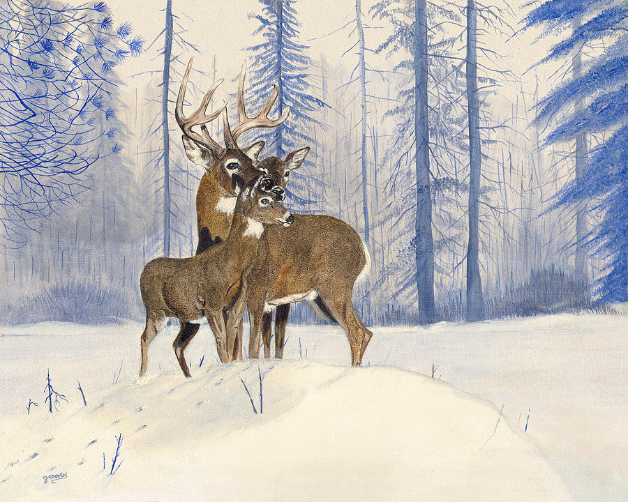 Deer Painting - The Family by Carl Genovese