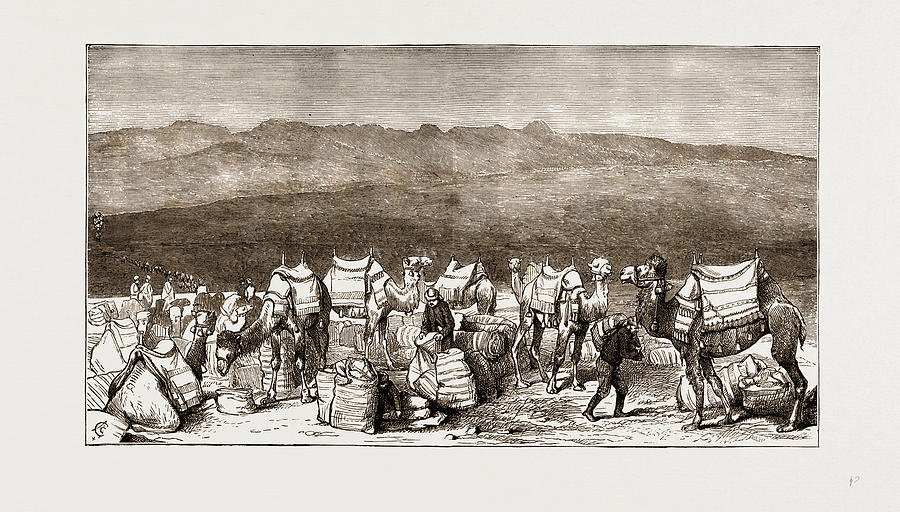 The Famine In Asia Minor Drawing by Litz Collection Pixels