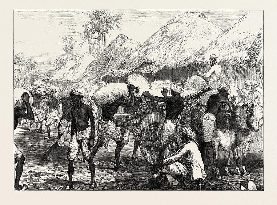 The Famine In Bengal Loading Grain Carts Near Calcutta Drawing by